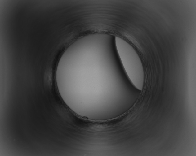 X0000090630494200707171137
