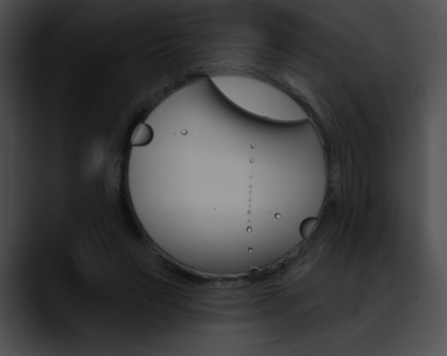 X0000090630495200707171137