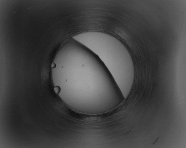 X0000090630499200707171137