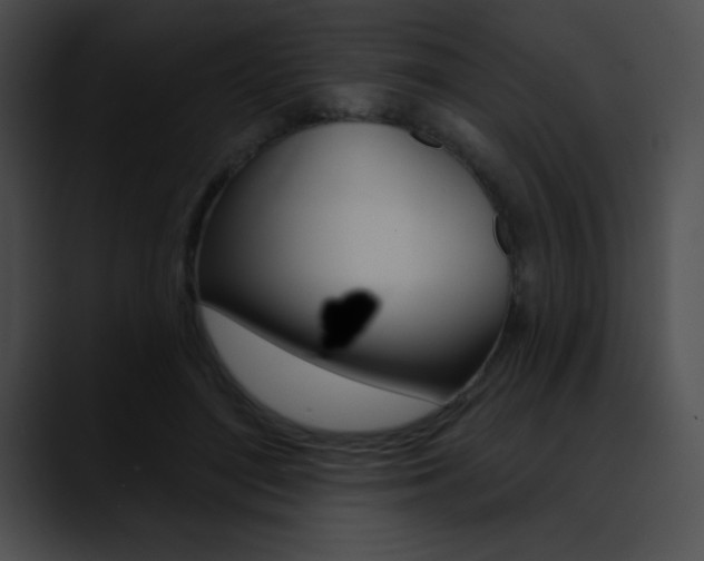 X0000090630500200707171137