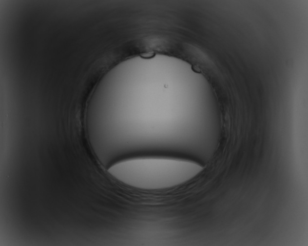X0000090630506200707171137