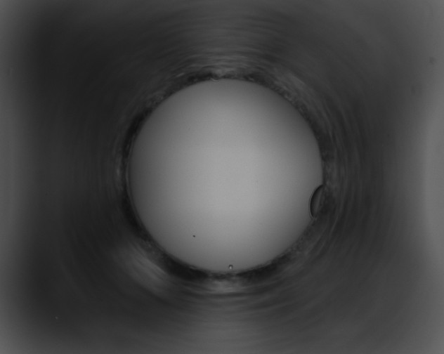 X0000090630510200707171137
