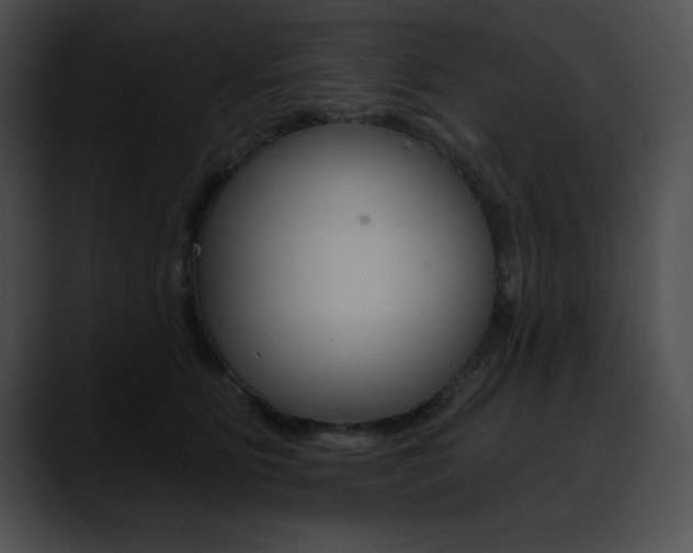 X0000090630515200707171137