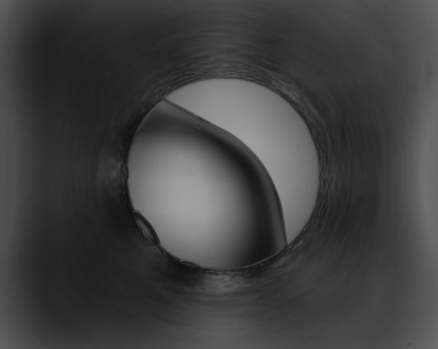 X0000090630521200707171137