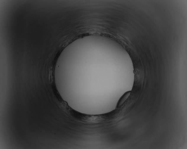 X0000090630527200707171137