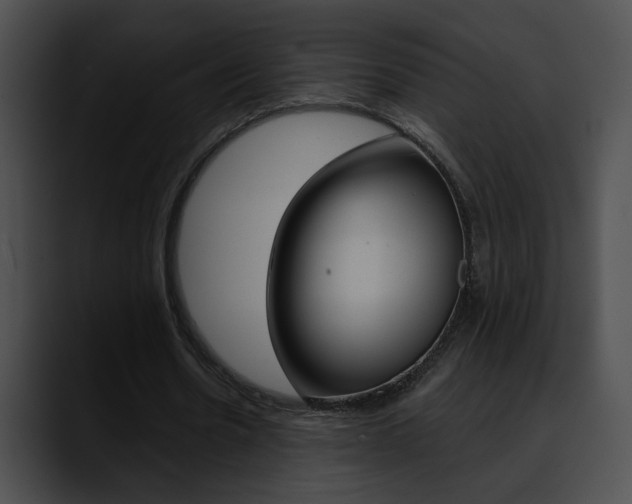 X0000090630530200707171137