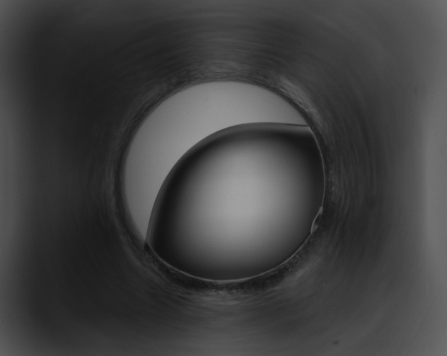 X0000090630538200707171137