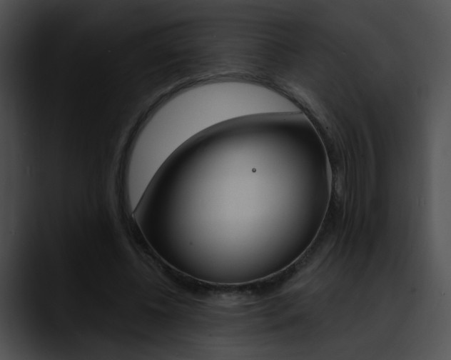 X0000090630540200707171137