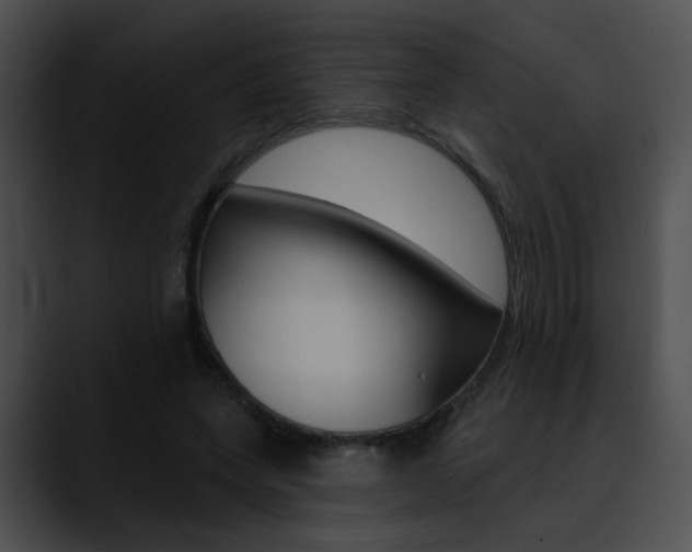X0000090630543200707171137