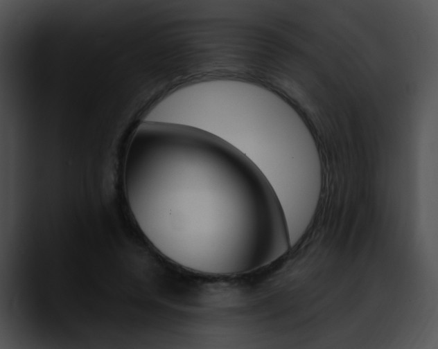 X0000090630544200707171137