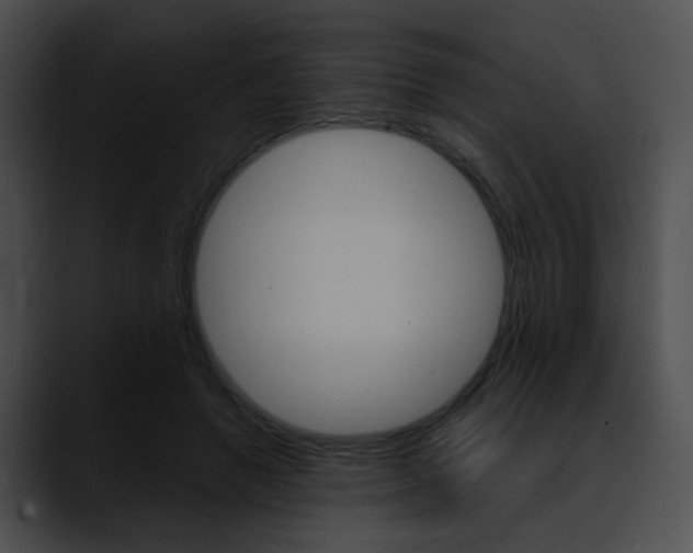 X0000090630546200707171137