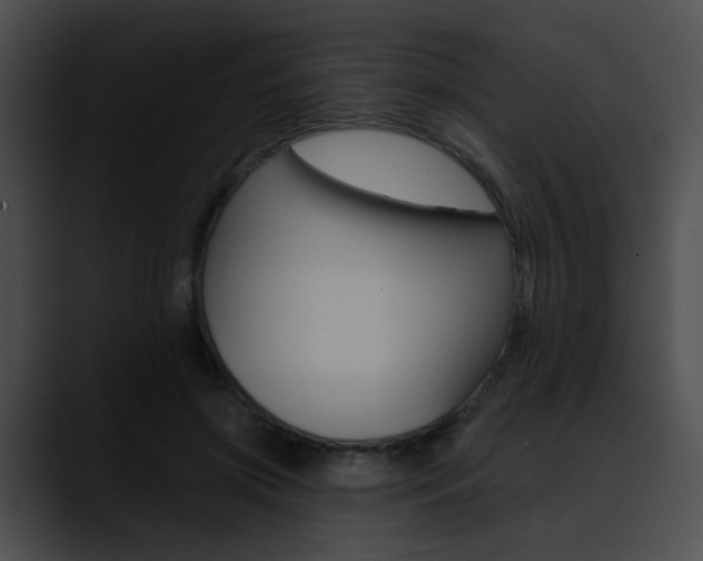 X0000090630549200707171137