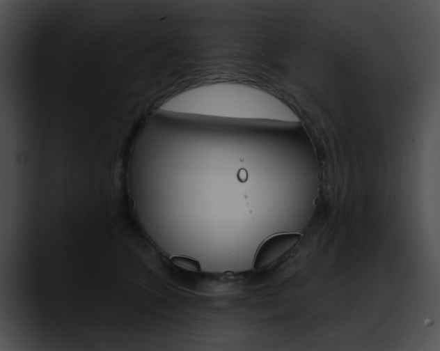X0000090630563200707171137