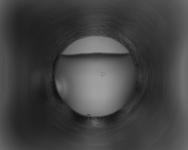 X0000090630565200707171137