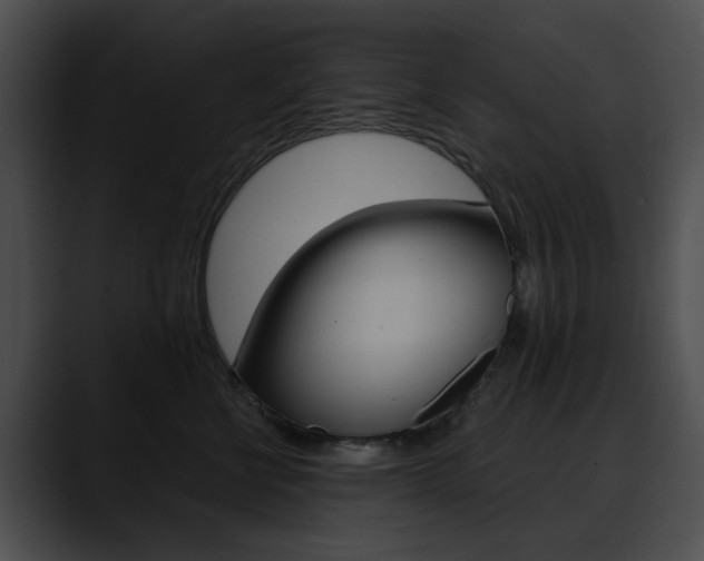X0000090630570200707171137