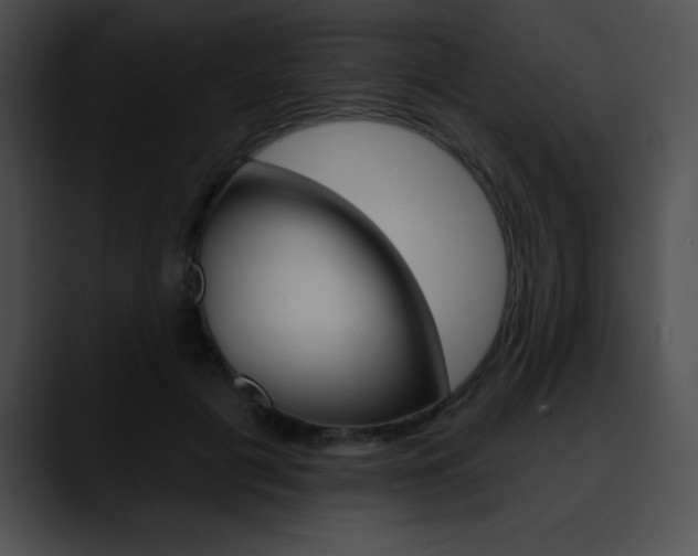 X0000090630601200707171136