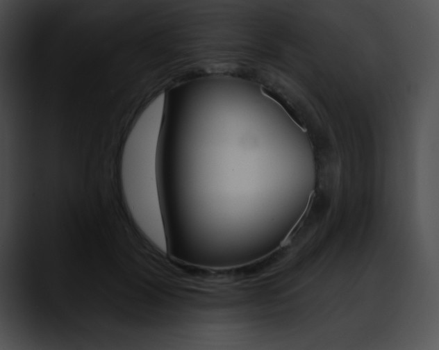 X0000090630604200707171136