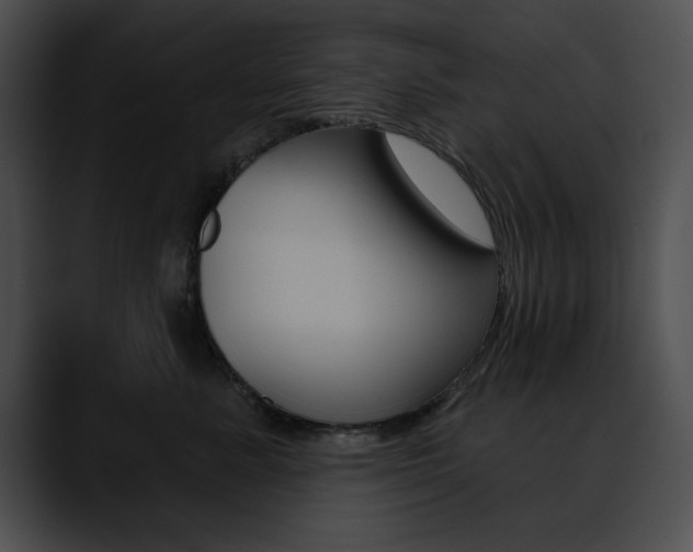 X0000090630619200707171136