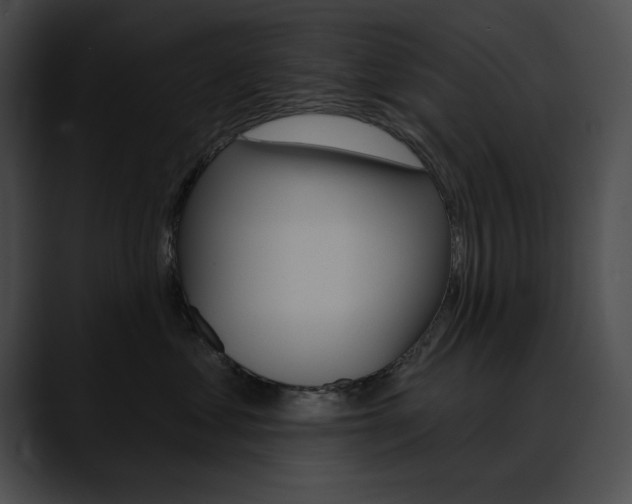 X0000090630621200707171136