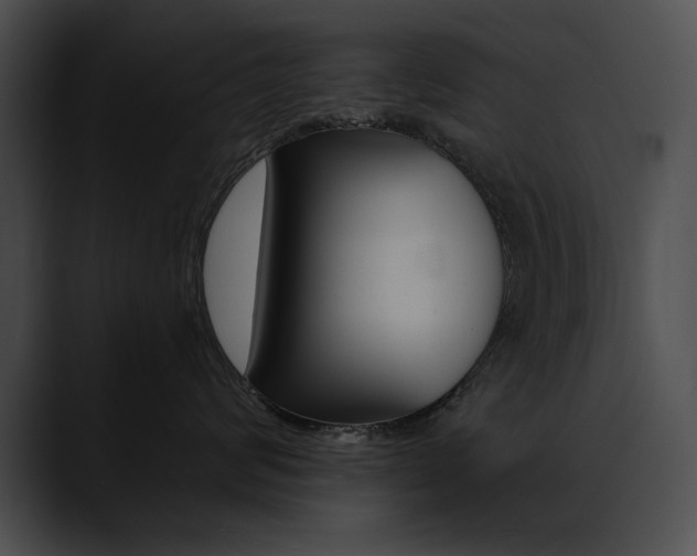 X0000090630624200707171136
