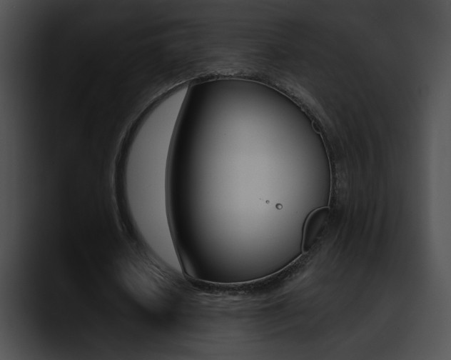 X0000090630626200707171135