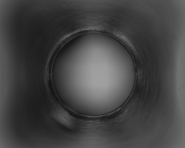 X0000090630628200707171135