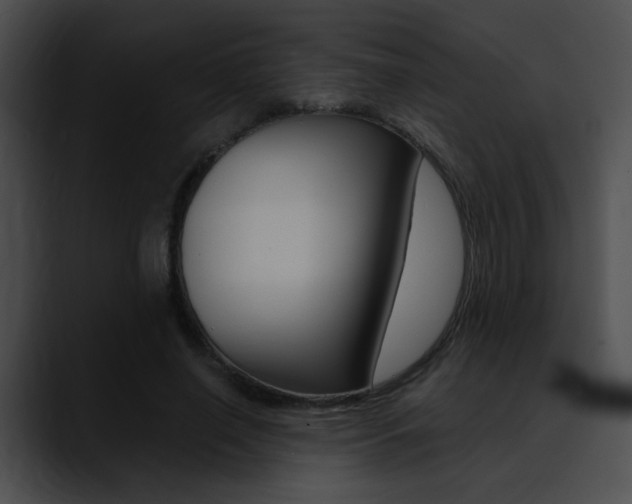 X0000090630638200707171136