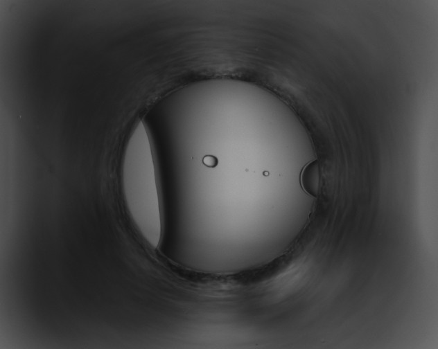 X0000090630642200707171136