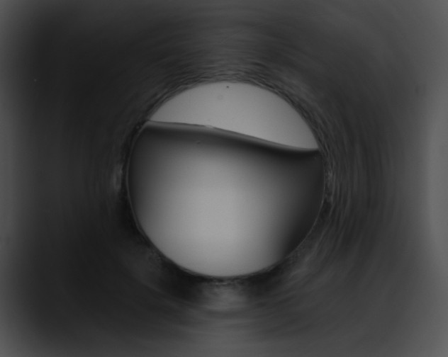 X0000090630652200707171136