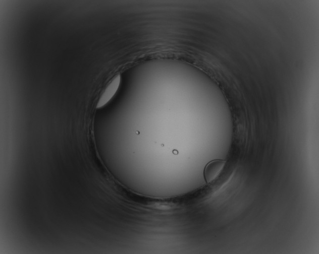 X0000090630654200707171136