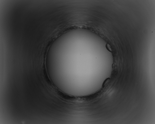 X0000090630656200707171136