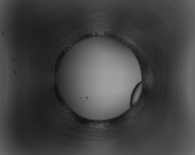 X0000090630661200707171136