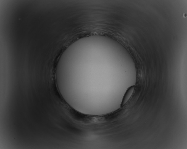X0000090630663200707171136