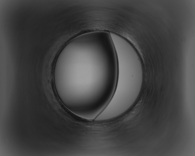 X0000090630673200707171135