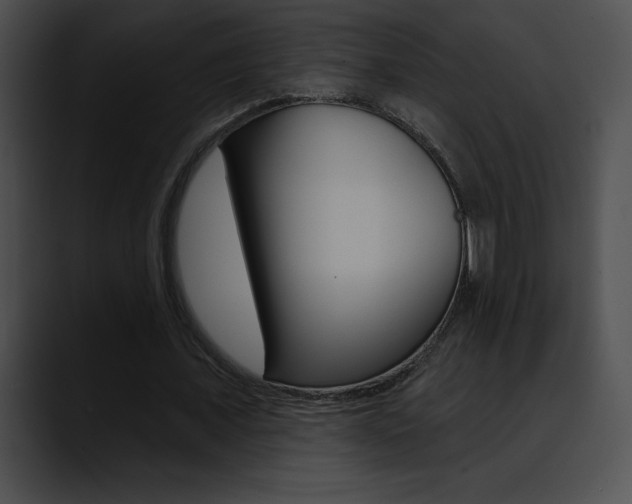X0000090630675200707171135