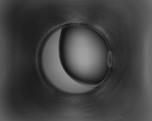 X0000090630680200707171135