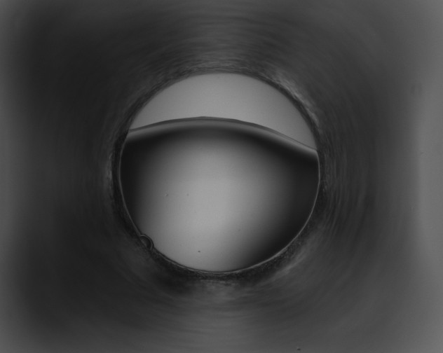 X0000090630681200707171135