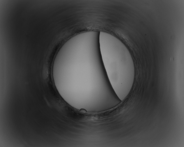 X0000090630687200707171135