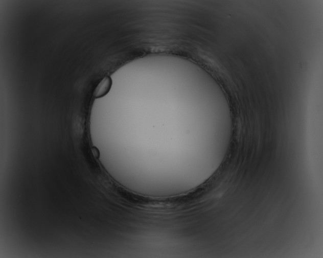 X0000090630691200707171135