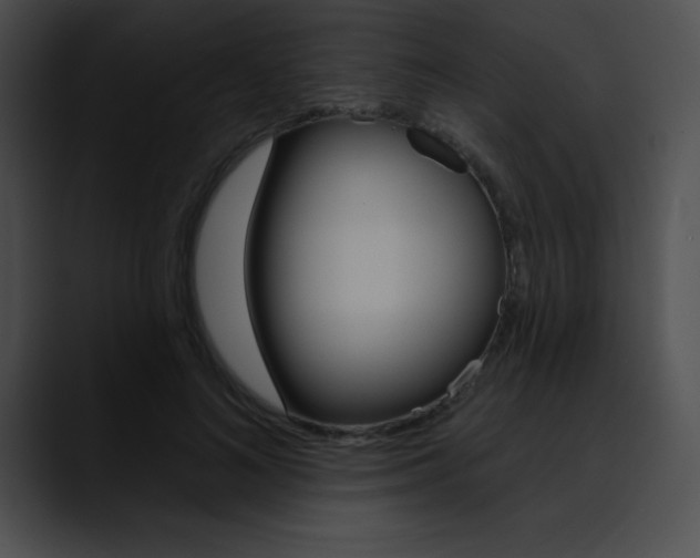 X0000090630692200707171135