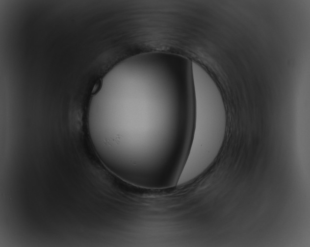 X0000090630693200707171135
