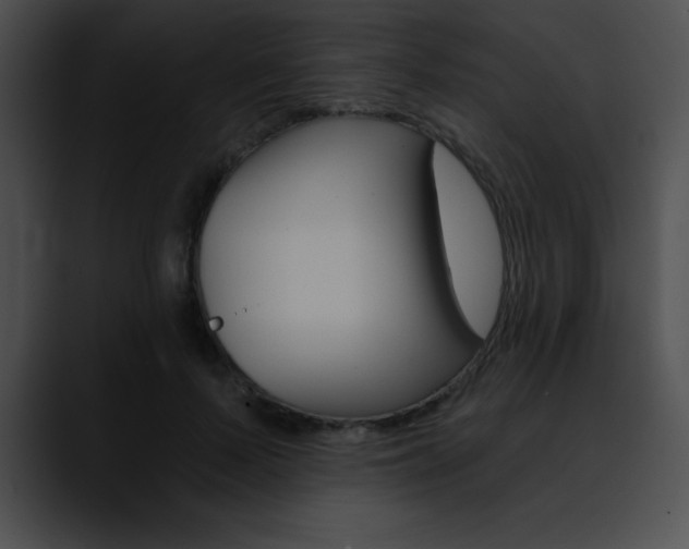 X0000090630695200707171135
