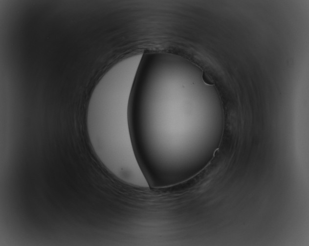 X0000090630697200707171135