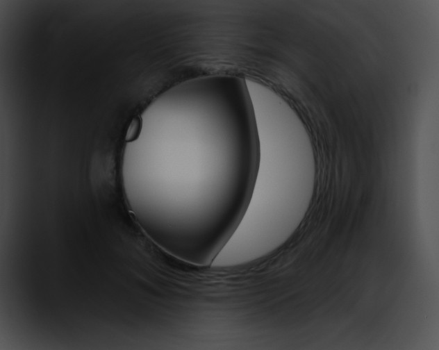 X0000090630700200707171135