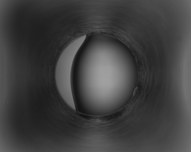X0000090630704200707171135