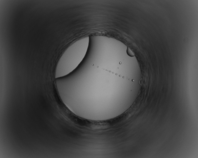 X0000090630707200707171135