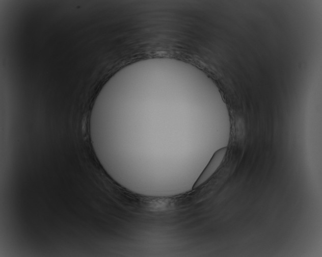 X0000090630709200707171135