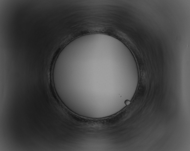 X0000090630729200707171134