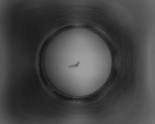 X0000090630730200707171134