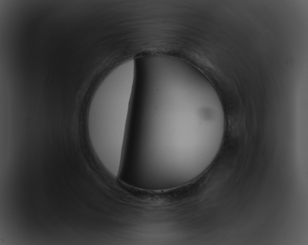 X0000090630735200707171134